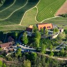 Schloss Staufenburg - Weingut 