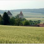 Schloß Steinabrunn