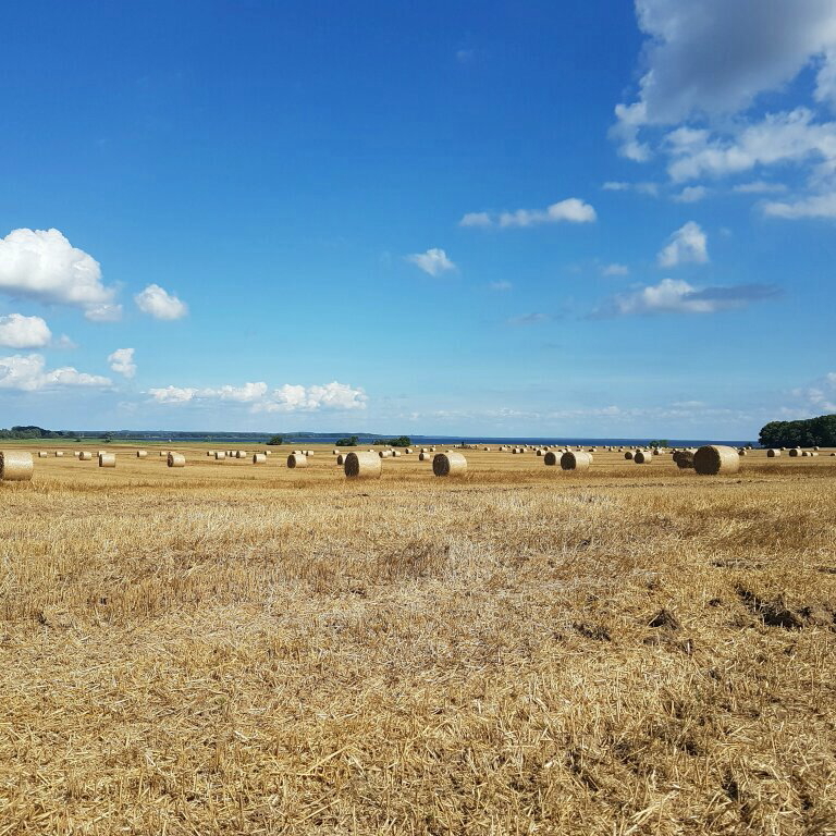 Schloss Stolpe Usedom