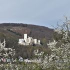 Schloß Stolzenfels 