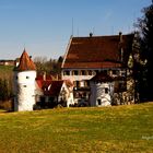 Schloss Syrgenstein