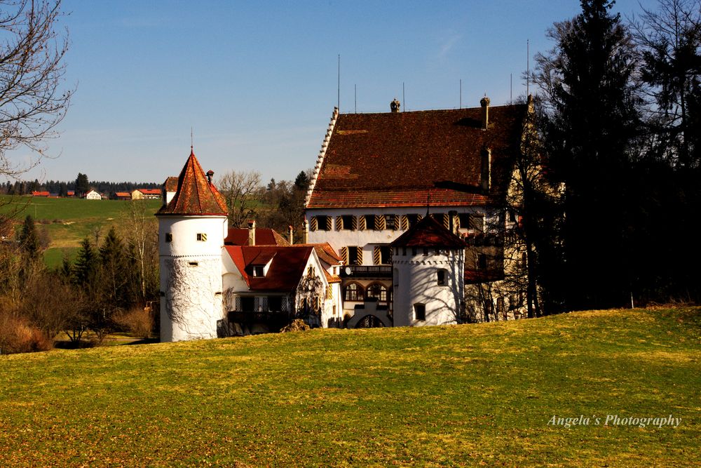 Schloss Syrgenstein