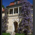 Schloss Tannfeld