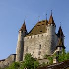 Schloss Thun