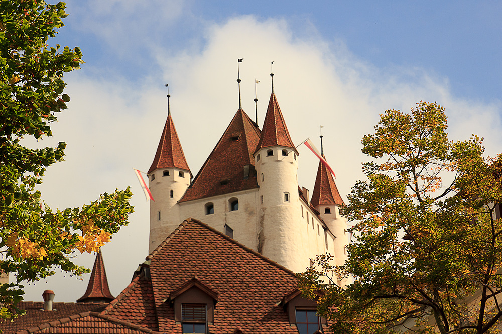 Schloss Thun