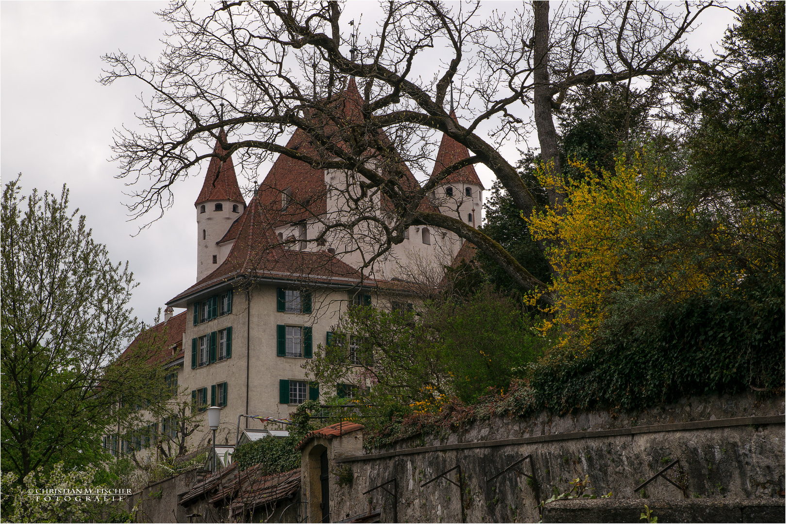 Schloss Thun