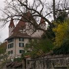 Schloss Thun