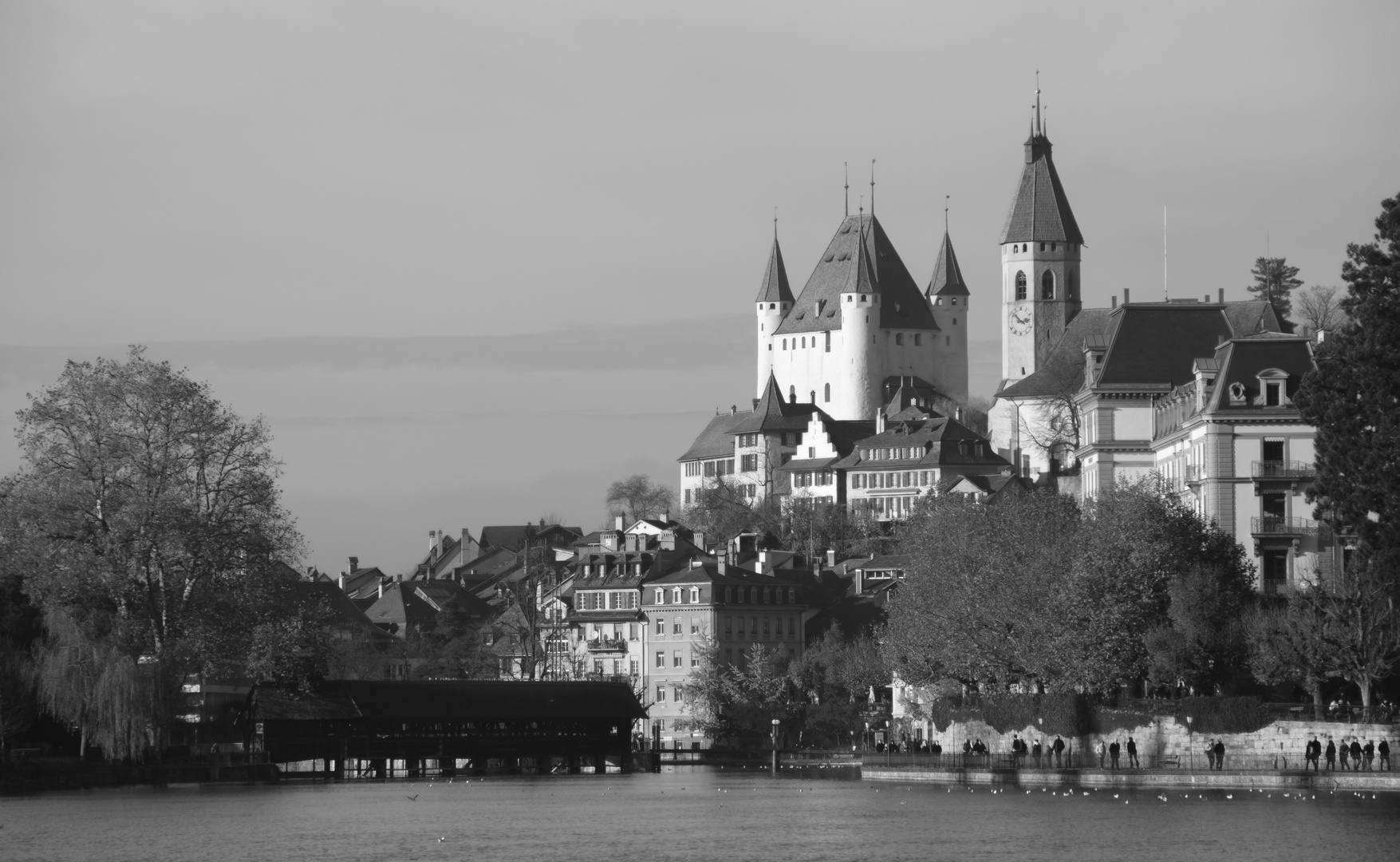 Schloss Thun