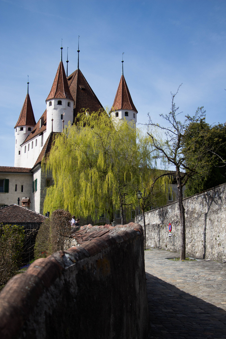 Schloss Thun