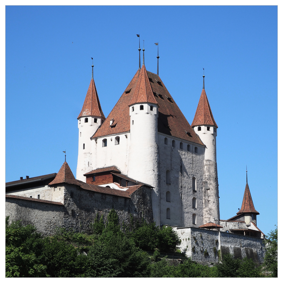 Schloss Thun Foto & Bild aeschlih Bilder auf
