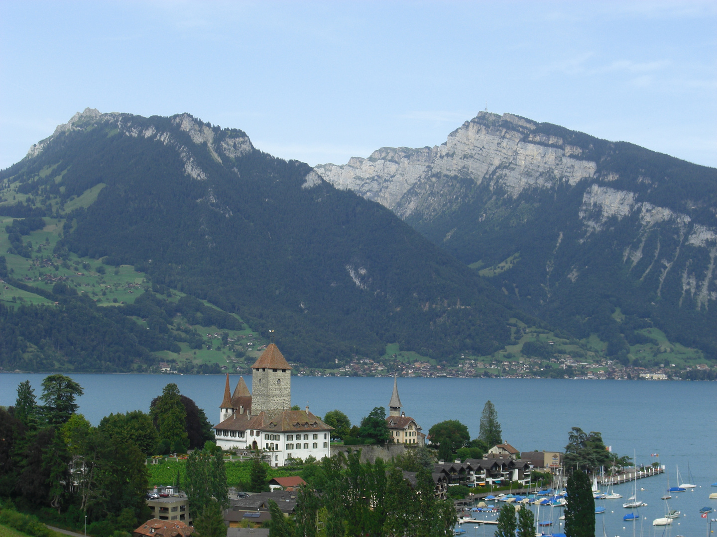 Schloss Thun am Thuner See