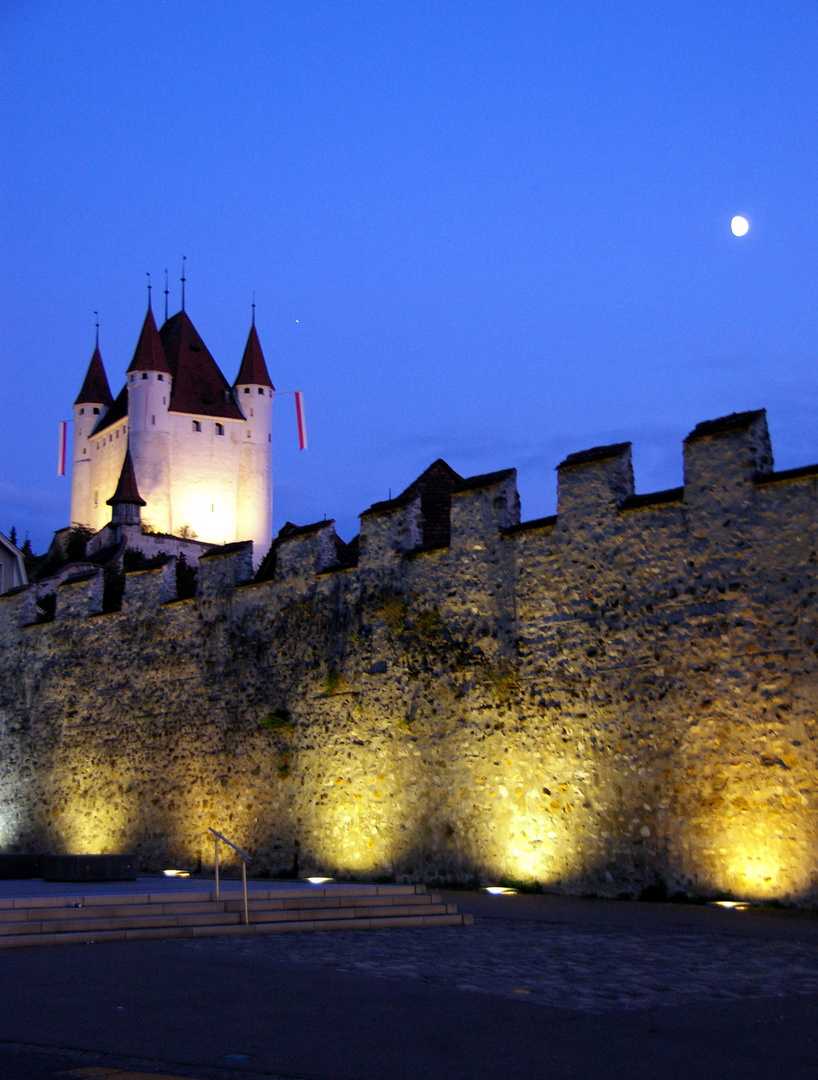 Schloss Thun