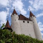 Schloss Thun