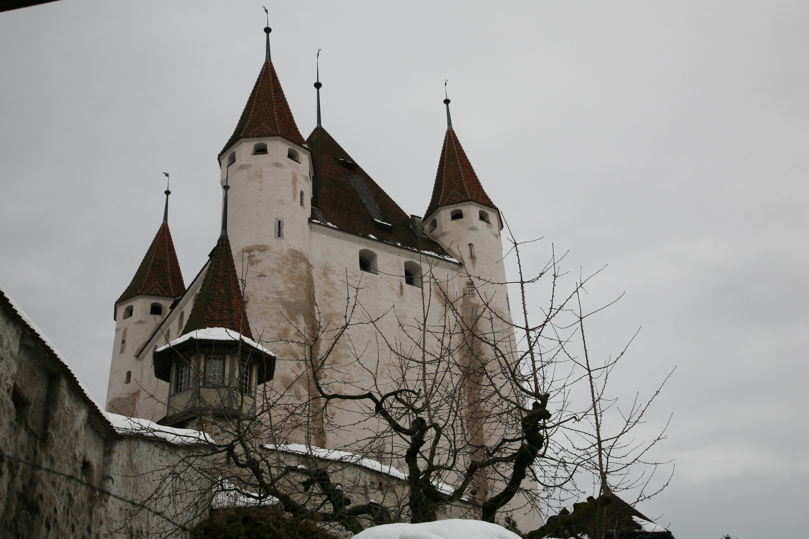 Schloss Thun ( CH )