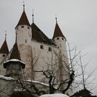 Schloss Thun ( CH )