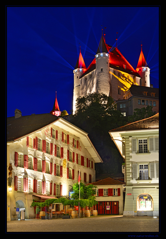 ~ ~ ~ Schloss Thun ~ ~ ~