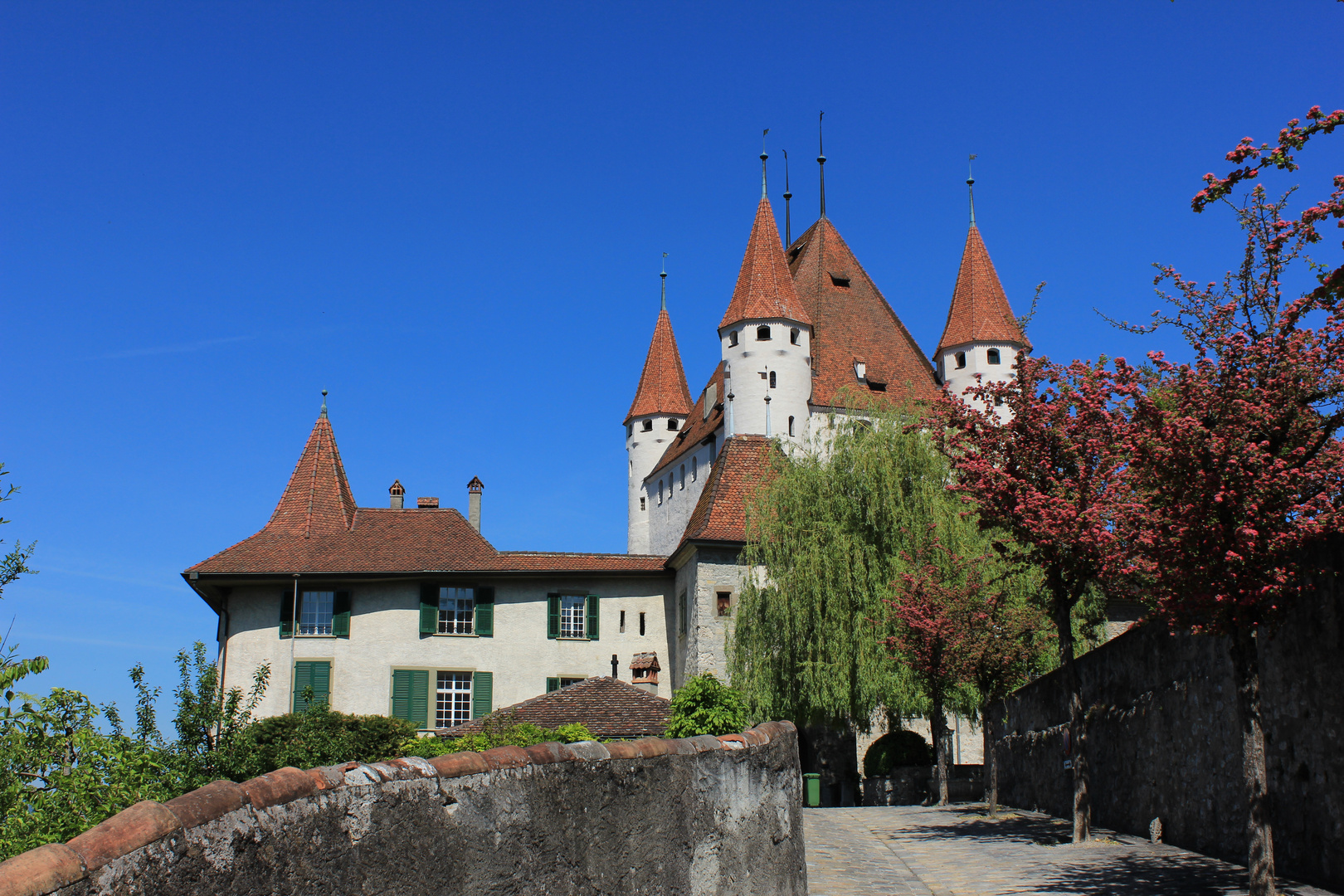 Schloss Thun1