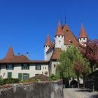 Schloss Thun1