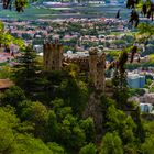 Schloss Tirol