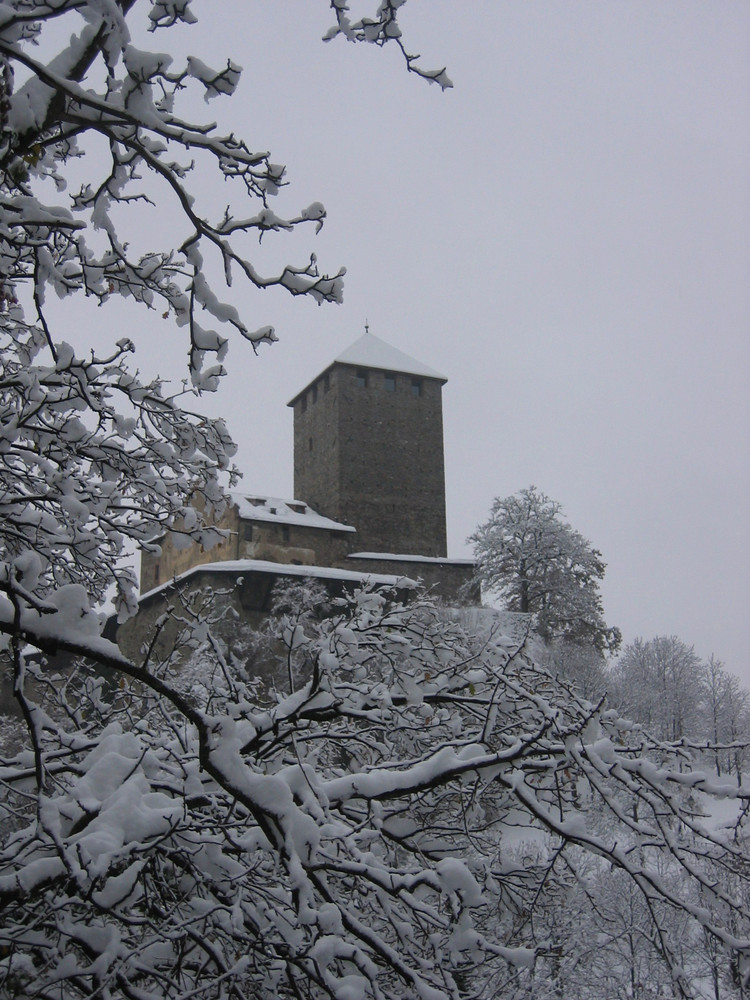 Schloss Tirol