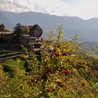 Schloss Tirol