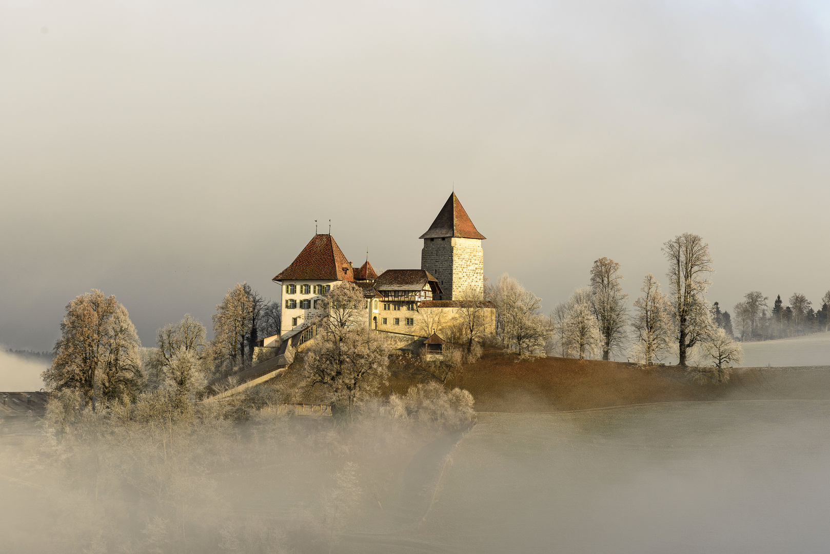 Schloss Trachselwald Foto & Bild landschaft, lebensräume, bäume
