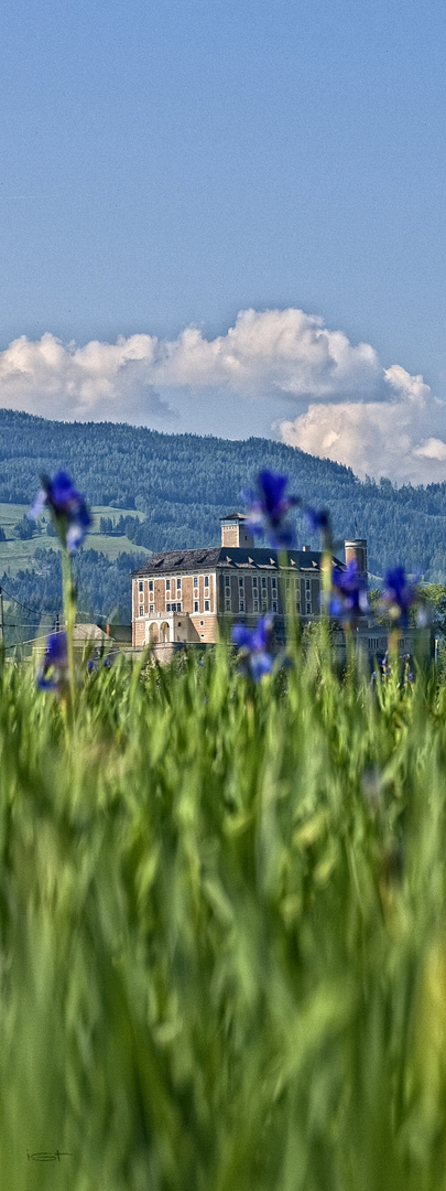 Schloss Trautenfels