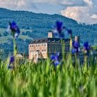 Schloss Trautenfels