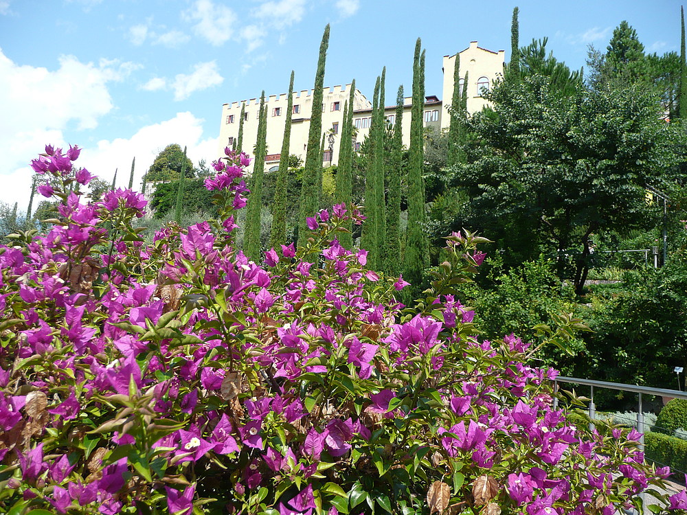 Schloss Trauttmansdorff - Meran