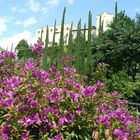 Schloss Trauttmansdorff - Meran