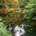 Schloss Türnich und seine Wassergräben.