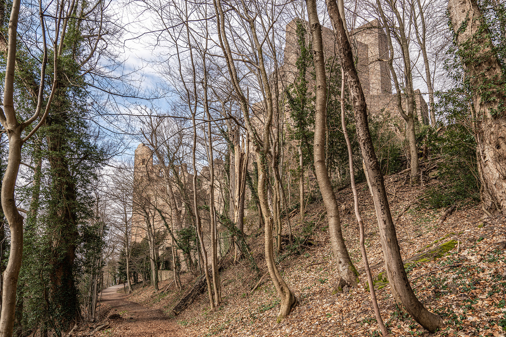 Schloss und Burg Hohenbaden