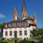 Schloss und Dom Limburg 