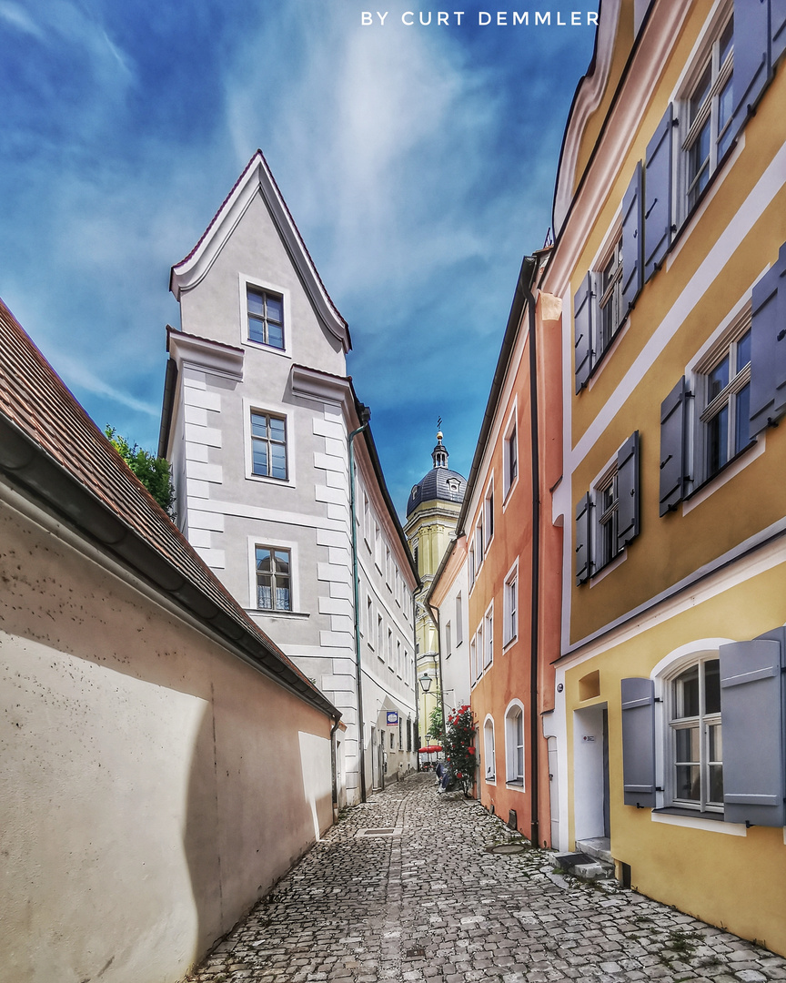 Schloss und gleichzeitig Burg in NEUBURG