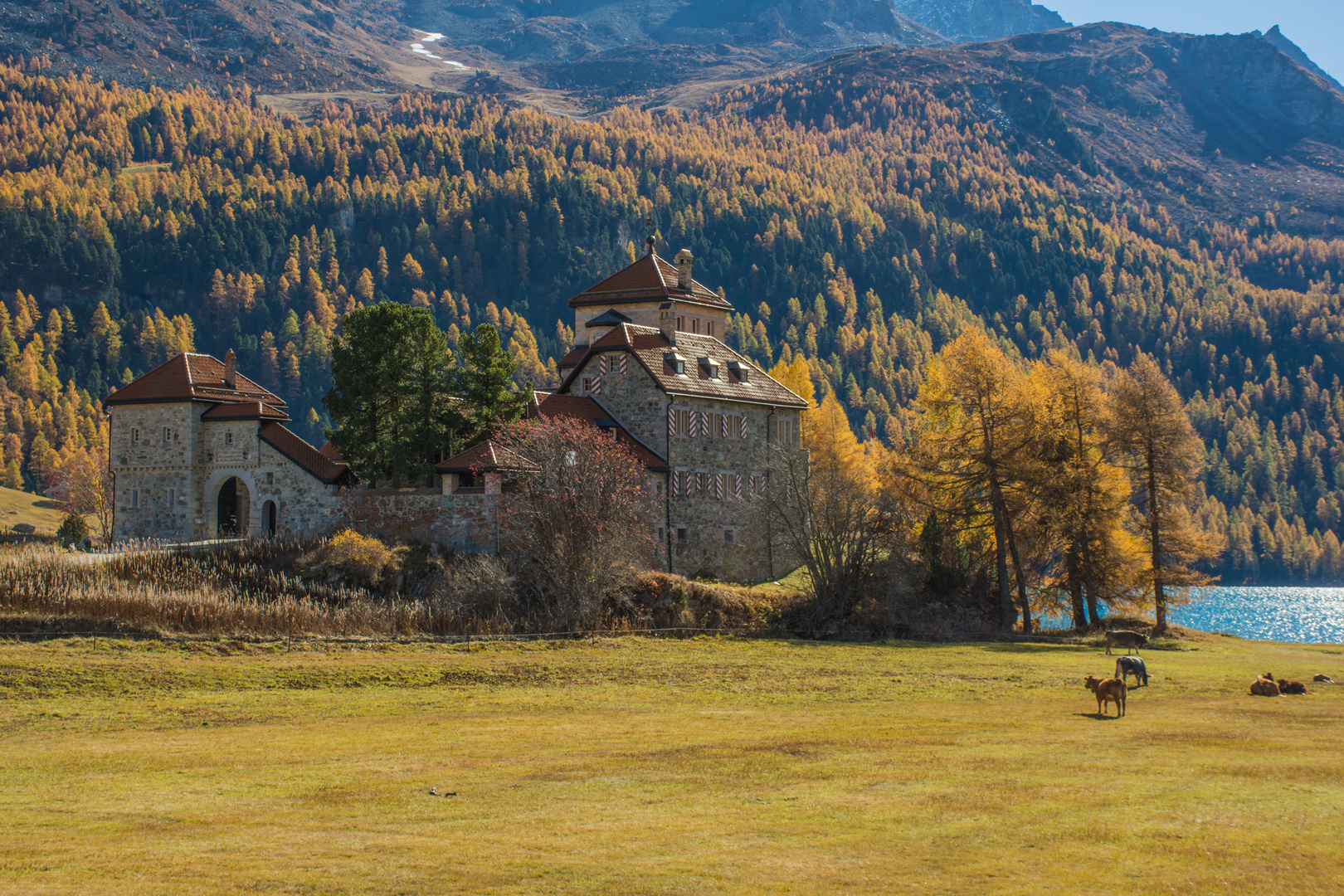  Schloss und Gold gehören zusammen