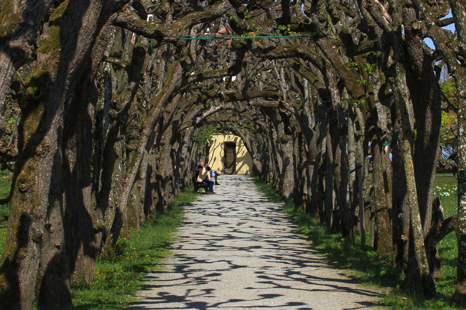 Schloss und Hofgarten Dachau