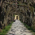 Schloss und Hofgarten Dachau