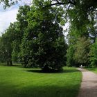 Schloß und Park von Lübbenau