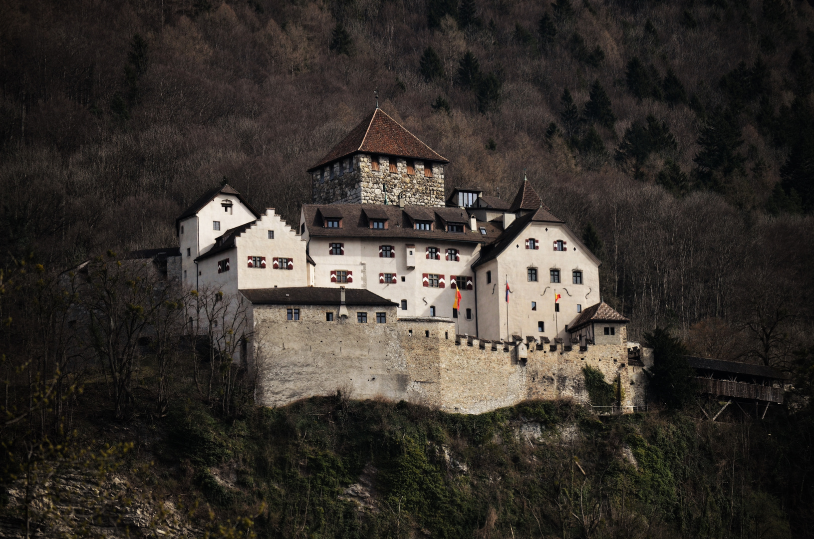 Schloss Vaduz