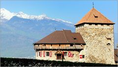 ... Schloss Vaduz ...