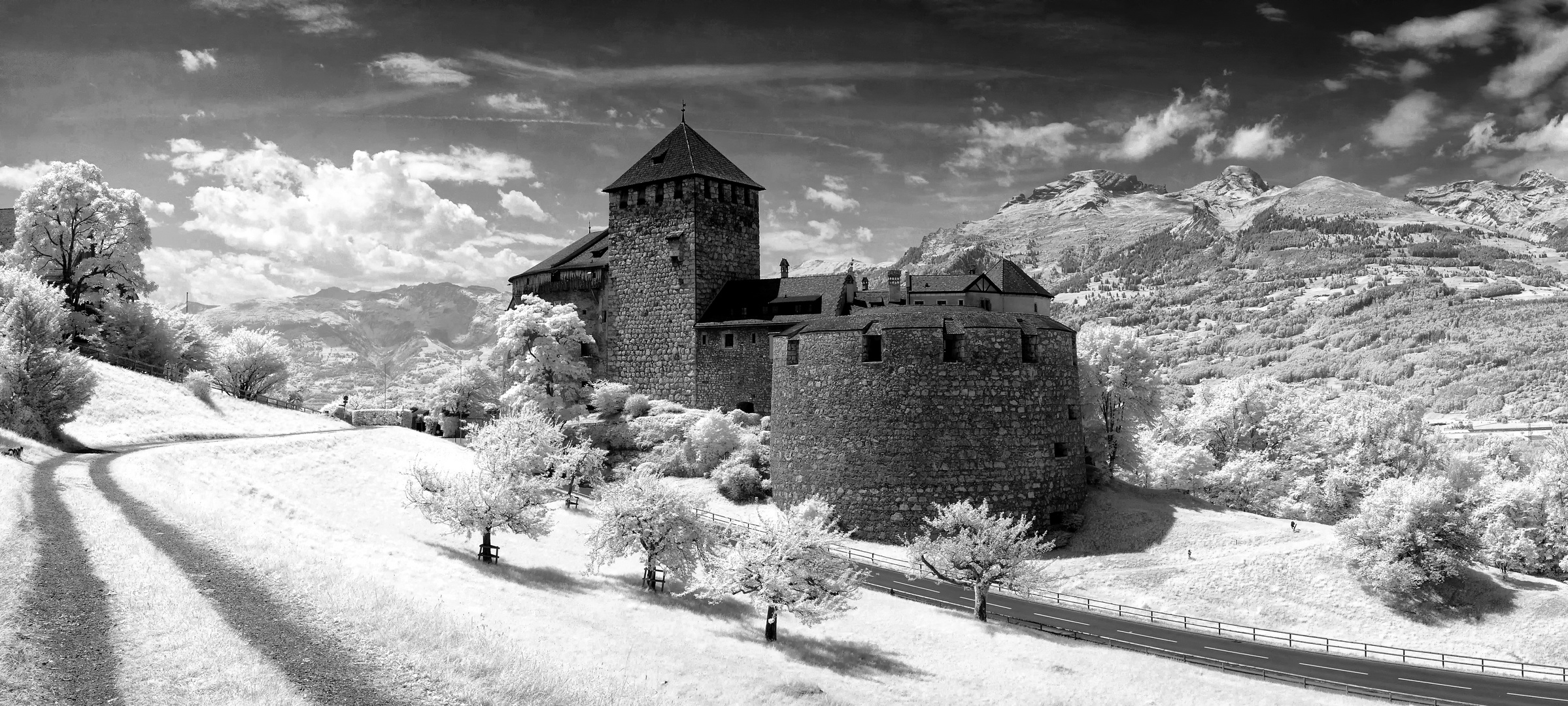 Schloss Vaduz [IR]