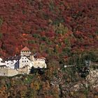 Schloss Vaduz mit Herbstteppich