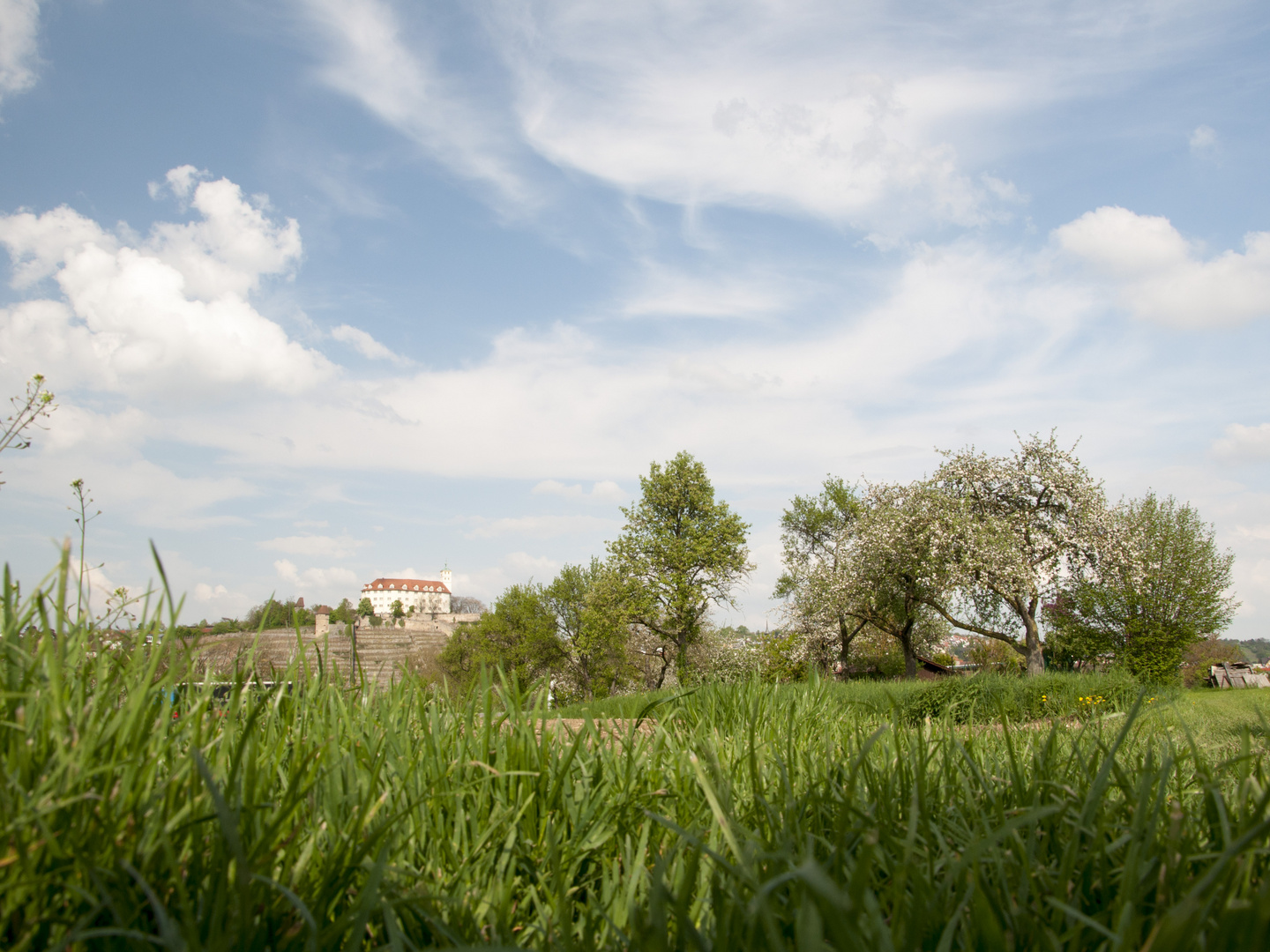 Schloss Vaihingen