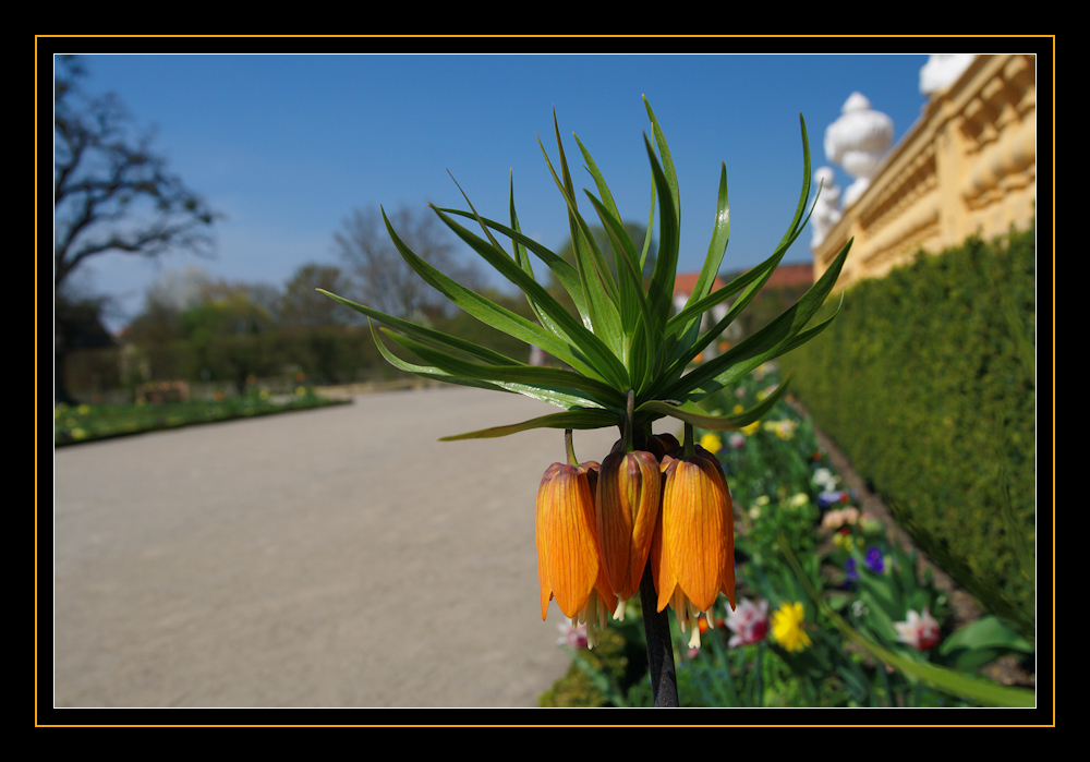 Schloss Veitshöchheim