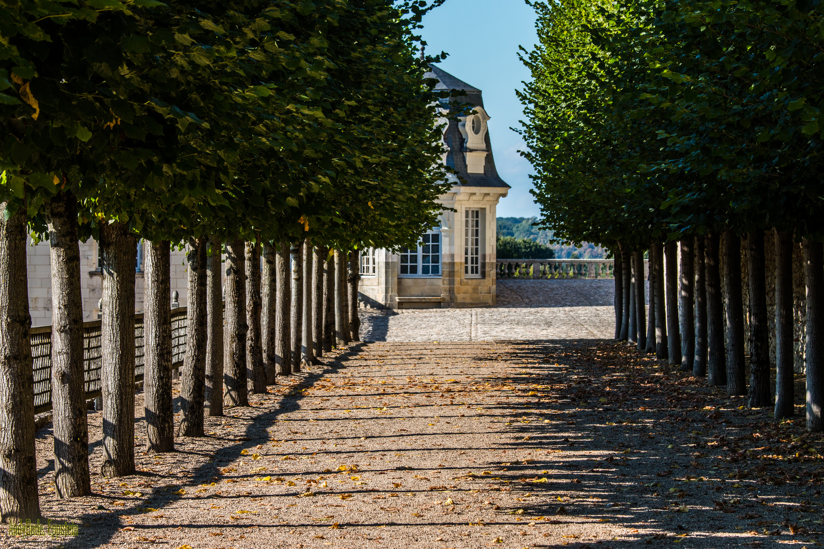 Schloss Villandry