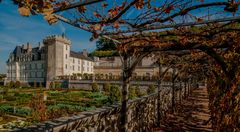 Schloss Villandry