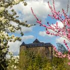 Schloss Voigtsberg