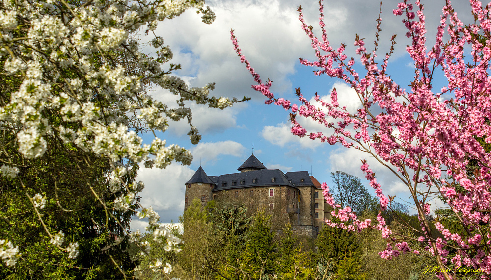 Schloss Voigtsberg