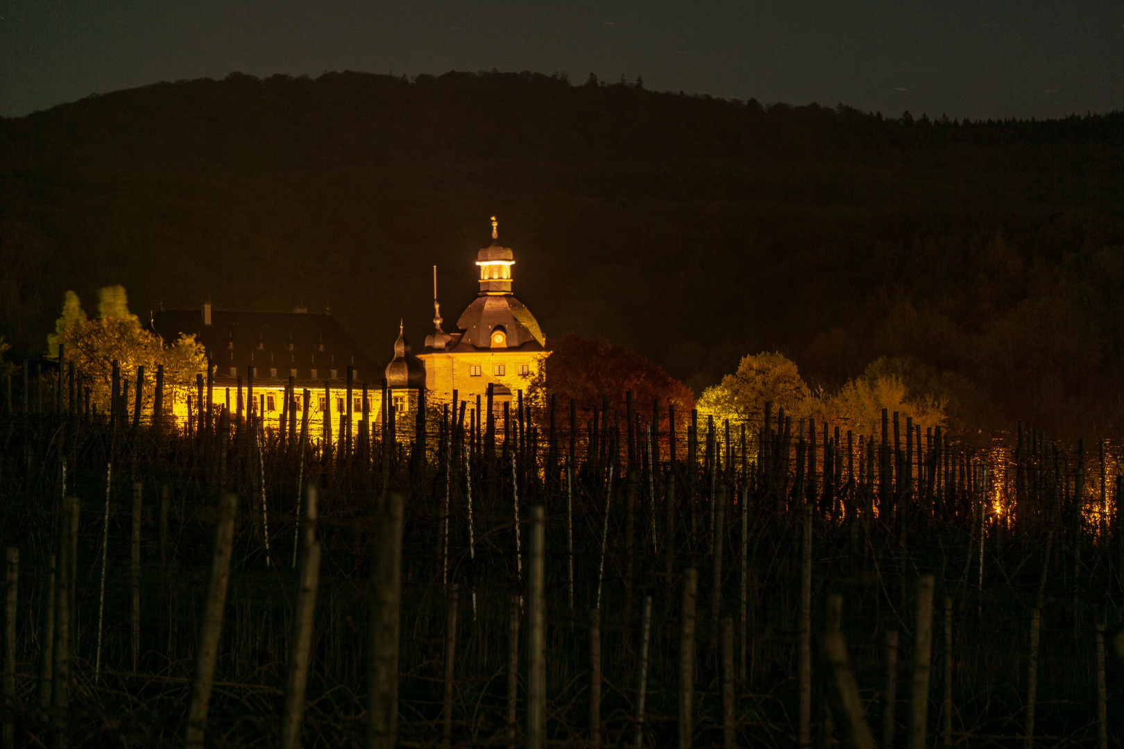 Schloss Vollbarts im Rheingau