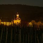 Schloss Vollbarts im Rheingau